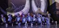 Lionking 0371